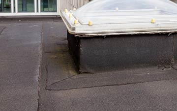 disadvantages of Ystradmeurig flat roofs
